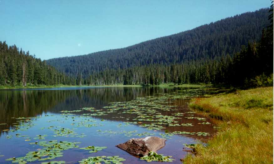 Lake Janus